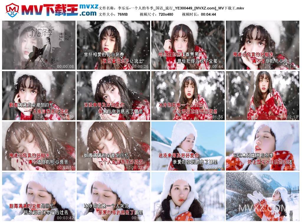 李乐乐-一个人的冬季_国语_流行_YE300449